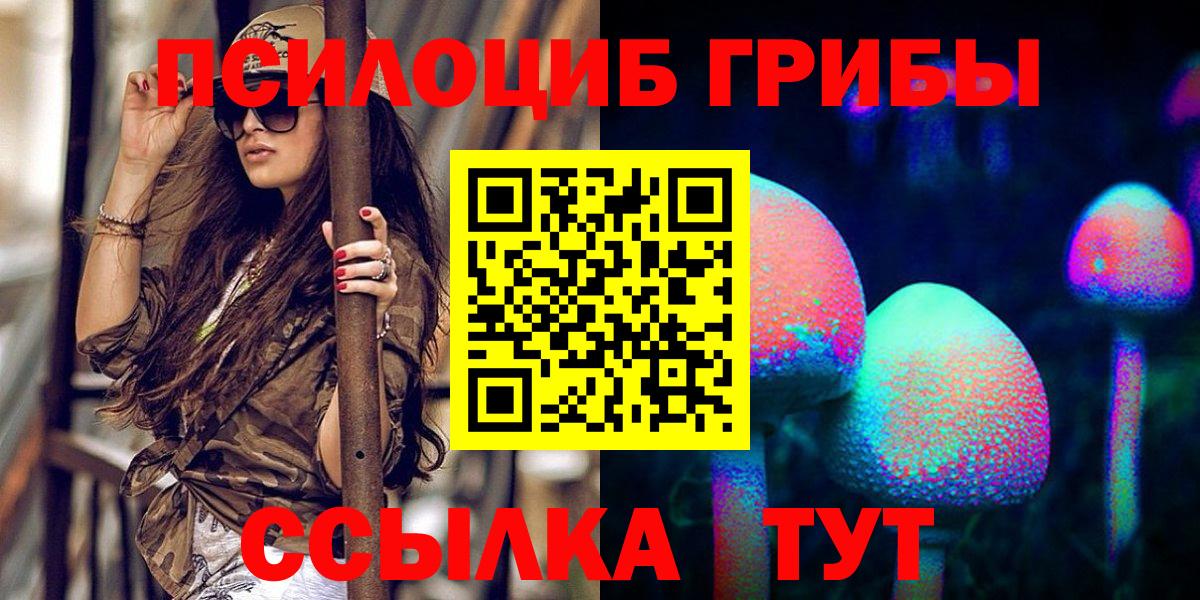 Галлюциногенные грибы MAGIC MUSHROOMS  Вход с VPN  Ногинск 
